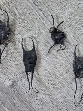 4 Imperfect Mermaid Purses/ Shark Or Ray Egg Sacks